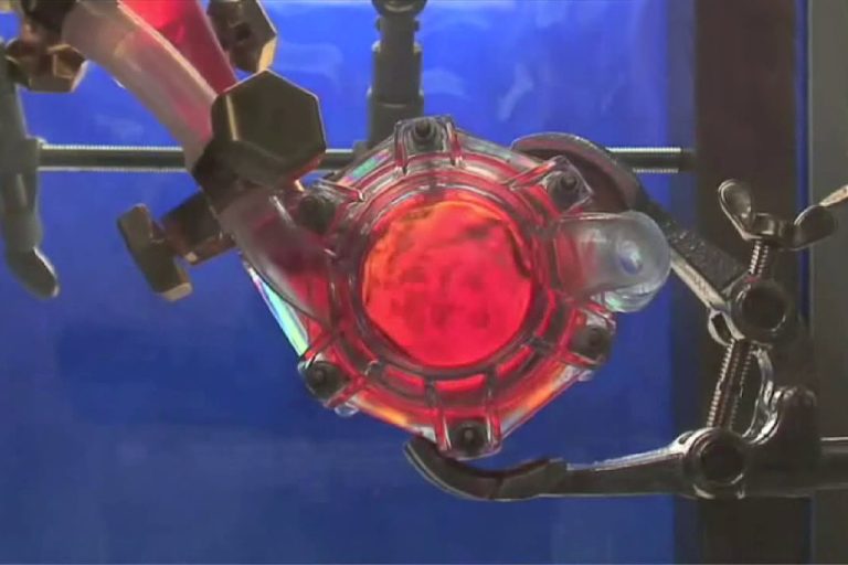 Nephrodite Holly Device 1080x720 1 768x512