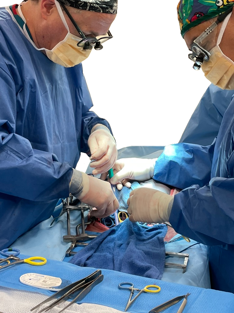 surgery photo.png